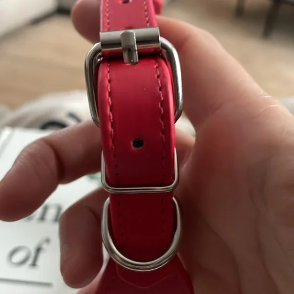 Red Collar - Picture 2 of 5